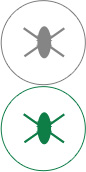 lewin乐玩高效抗菌