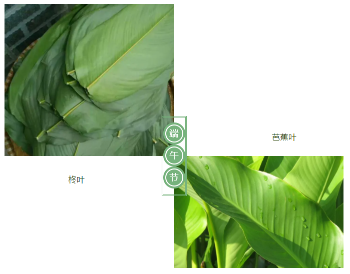 lewin乐玩医纺