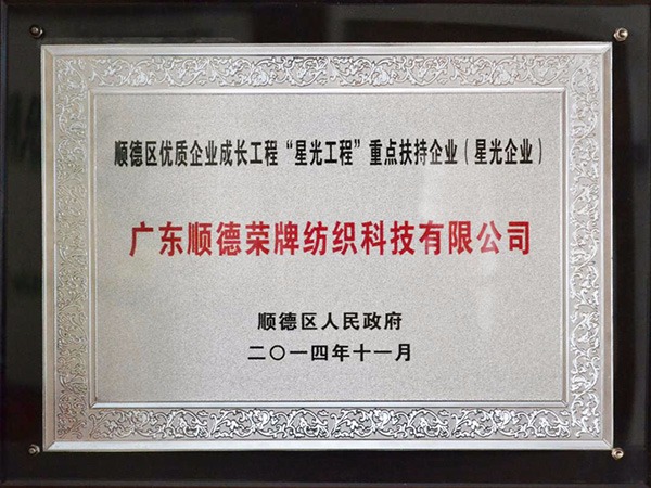 lewin乐玩-2012年获顺德政府颁发“星光企业”称号