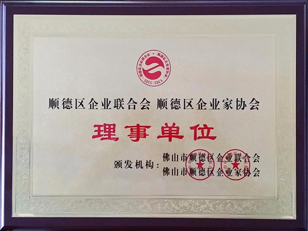 lewin乐玩-2015年获顺德政府颁发“理事单位”
