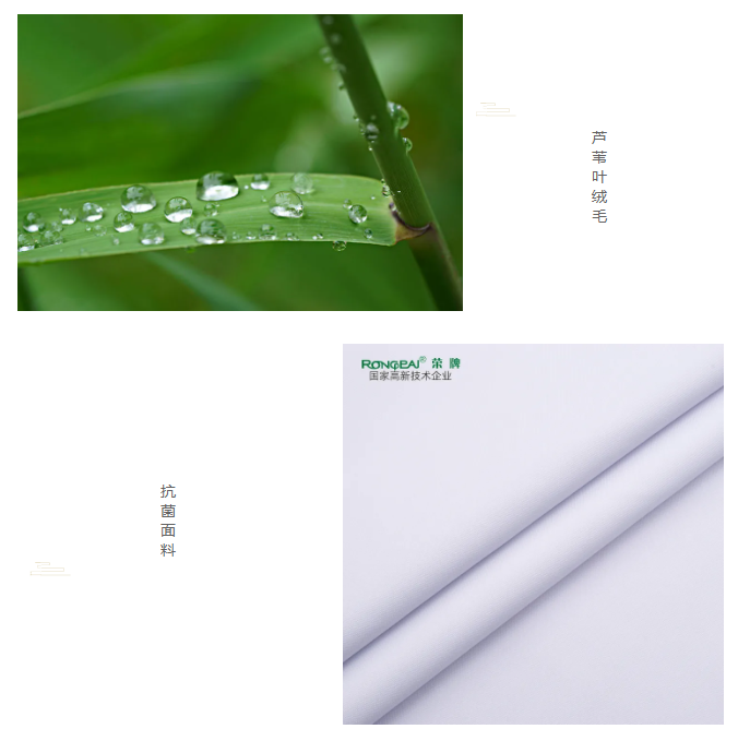 lewin乐玩医纺