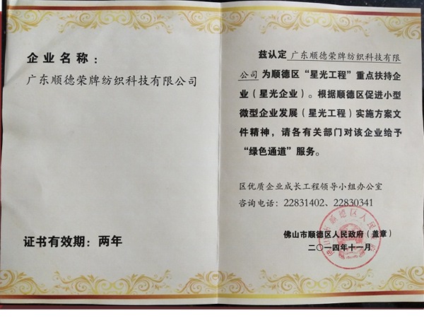 lewin乐玩荣获政府重点扶持企业